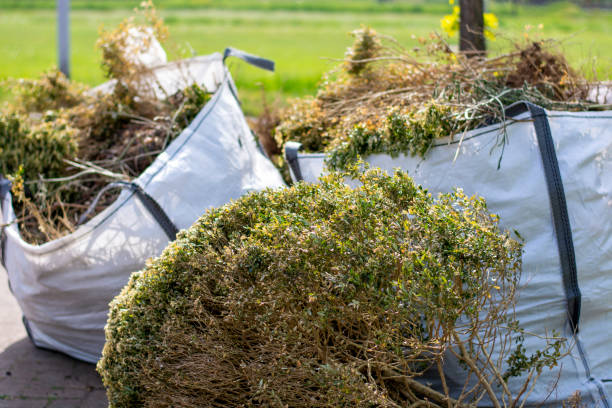 Best Basement Cleanout Services  in Arthurtown, SC